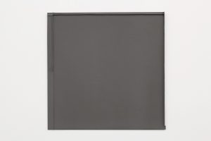 Solid gray surface with ridges and folds.