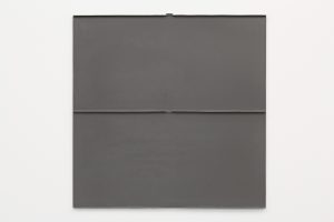 Solid gray surface with ridges and folds.