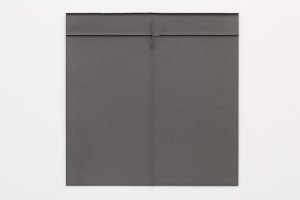 Solid gray surface with ridges and folds.