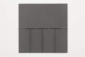 Solid gray surface with ridges and folds.