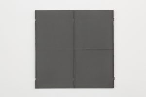 Solid gray surface with ridges and folds.