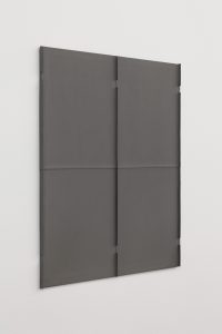Solid gray surface with ridges and folds.