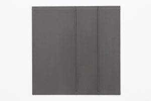 Solid gray surface with ridges and folds.