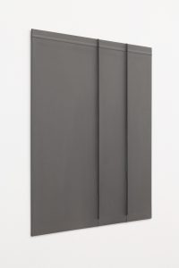 Solid gray surface with ridges and folds.