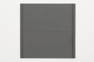 Solid gray surface with ridges and folds.