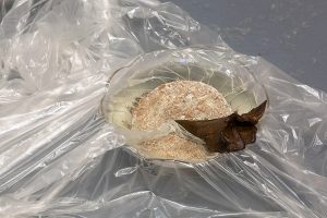 A close up view of one of the glass bowls filled with a mixture of water, bronze, glitter, sand, desert dirt and coins, and covered with a thin sheet of eco-plastic.