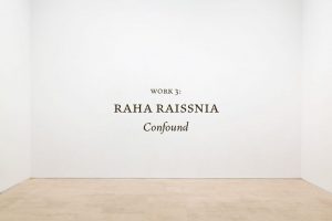 Work 3: Raha Raisanna, Confound.