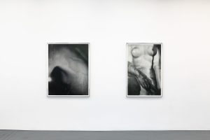 Gallery view of two black and white photographs of a woman's nude body on the wall