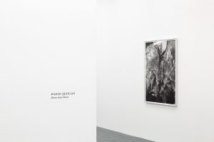 Gallery view of the exhibition title and a black and white abstract photograph on the wall