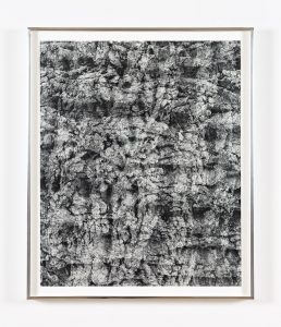 Black and white photograph close up of tree bark with superimposed double rotated 90 degrees.