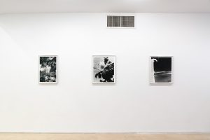 Gallery view of three smaller black and white photographs.