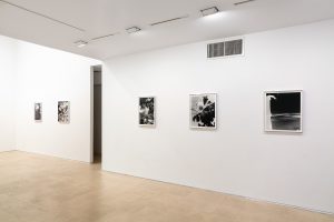 Gallery view of the last 5 works from left to right.