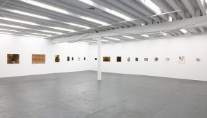 Gallery view of seventeen paintings an sculpted wood panels across two walls.